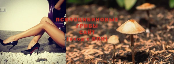 шишки Гусев