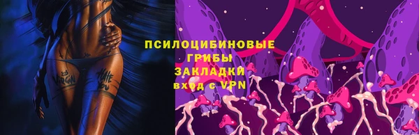 шишки Гусев