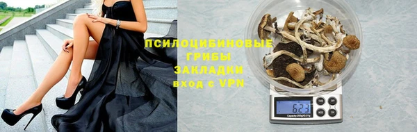 шишки Гусев