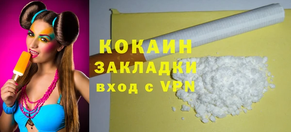 шишки Гусев