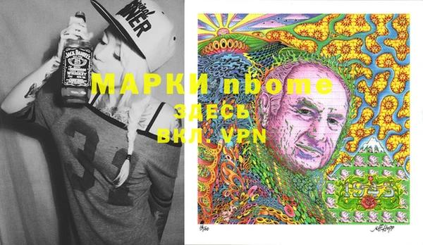 шишки Гусев