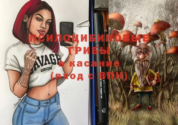 шишки Гусев