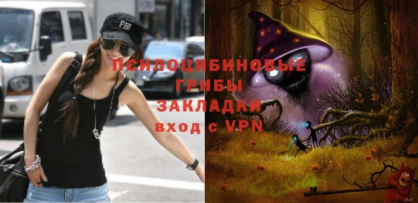 шишки Гусев