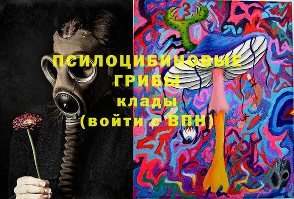 jwh Гусь-Хрустальный