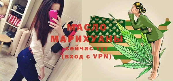 шишки Гусев