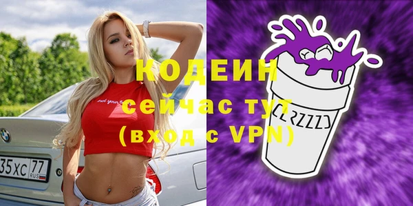 шишки Гусев