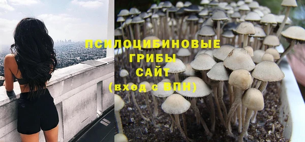 шишки Гусев