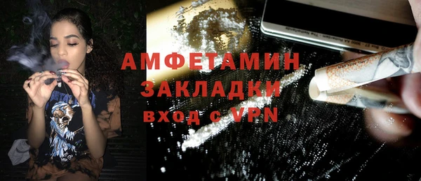 шишки Гусев