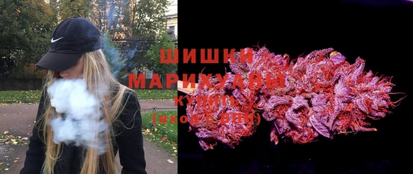 шишки Гусев