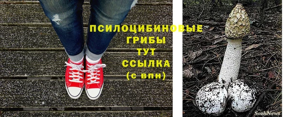 jwh Гусь-Хрустальный