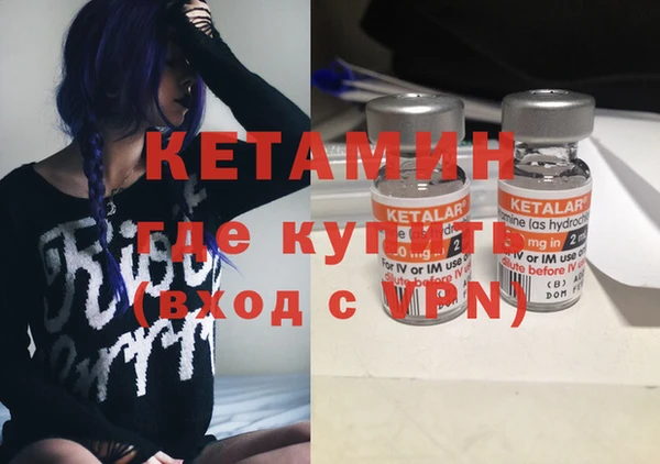 шишки Гусев