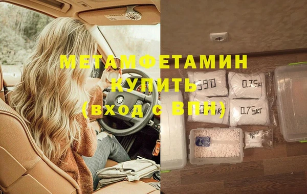 шишки Гусев