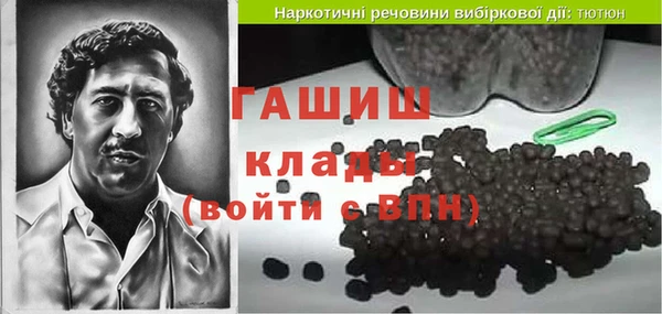 шишки Гусев