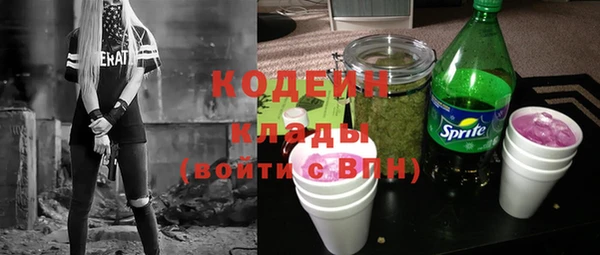 шишки Гусев