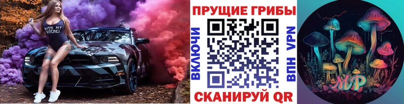Купить закладки  Советский  Псилоцибиновые грибы мицелий 